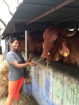 Mara & her favourite cow <3